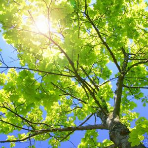 国产男男Gay🔞体育生A片
